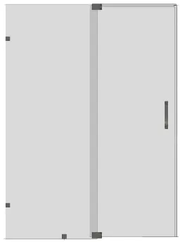 TG26 Shower door
